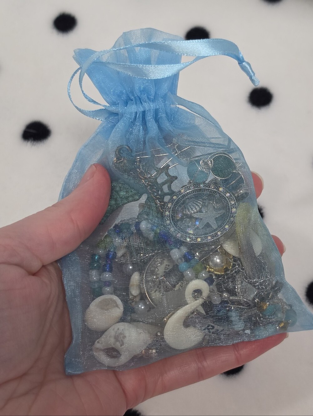 Beach Themed Jewelry & More Mystery Bag